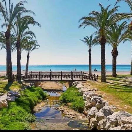 Buenavista Estudio *