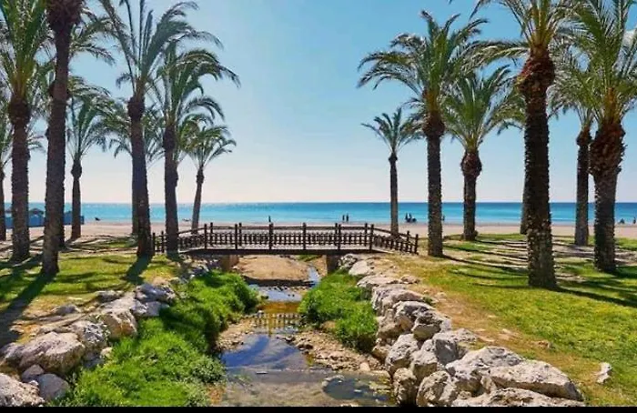 Buenavista Estudio *